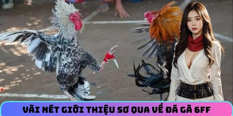 vai-net-gioi-thieu-so-luoc-ve-da-ga-6ff